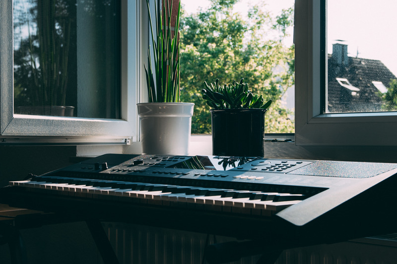 piano and succulent by the window